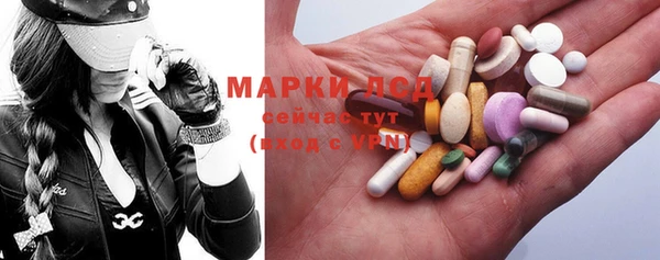 хмурый Алексин