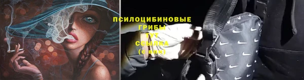 хмурый Алексин