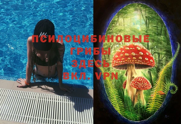 хмурый Алексин