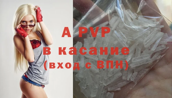 хмурый Алексин