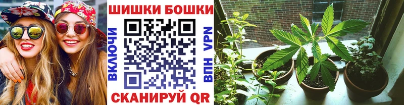 купить закладку  гидра tor  даркнет телеграм  Шиханы  Конопля ГИДРОПОН 